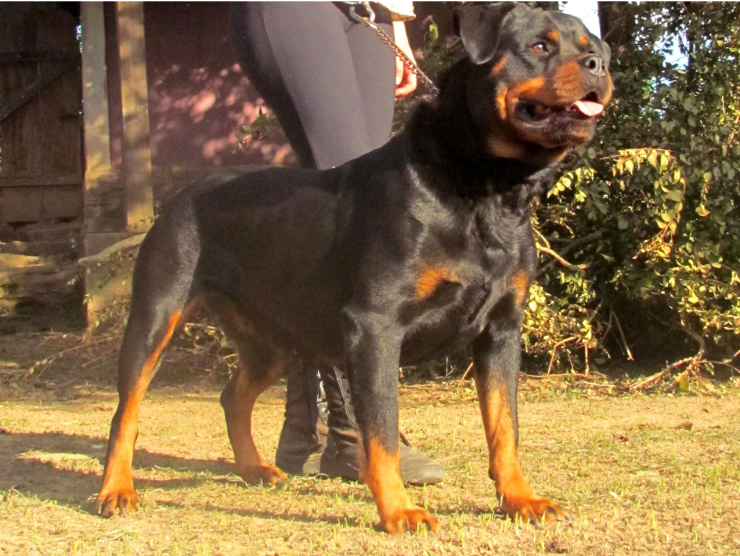 Gaya mãe do nosso Thor